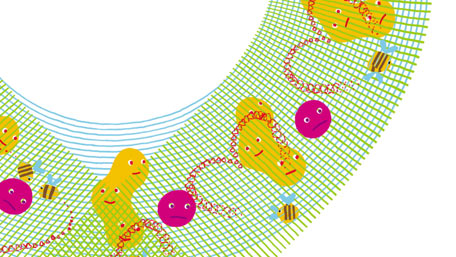 CMC Ident 05 - Gender/Diversity